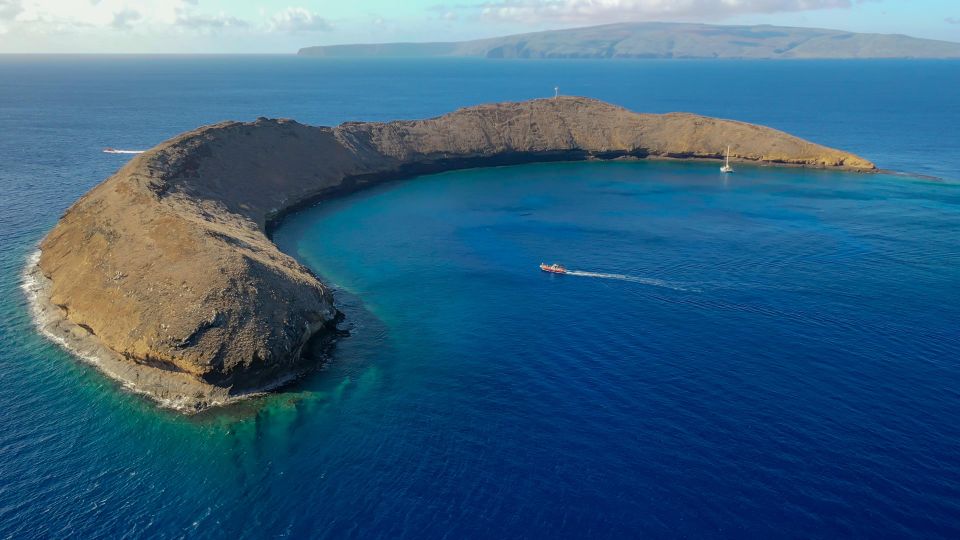 From Kihei: Molokini Crater and Turtle Town Snorkeling - What Molokini feels like versus Turtle Town (and why both matter)