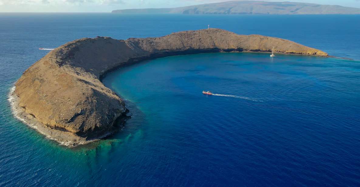 From Kihei: Molokini Crater and Turtle Town Snorkeling - Gear, floatation, and crew help: small details that change everything