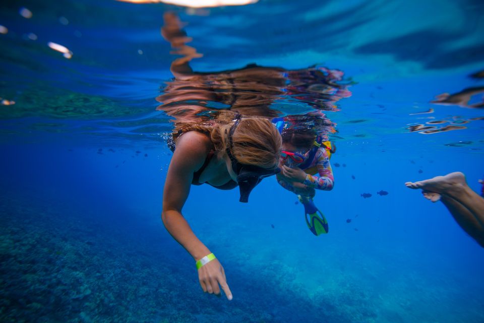 From Kihei: Molokini Crater and Turtle Town Snorkeling - Snacks, soft drinks, and the post-snorkel reset
