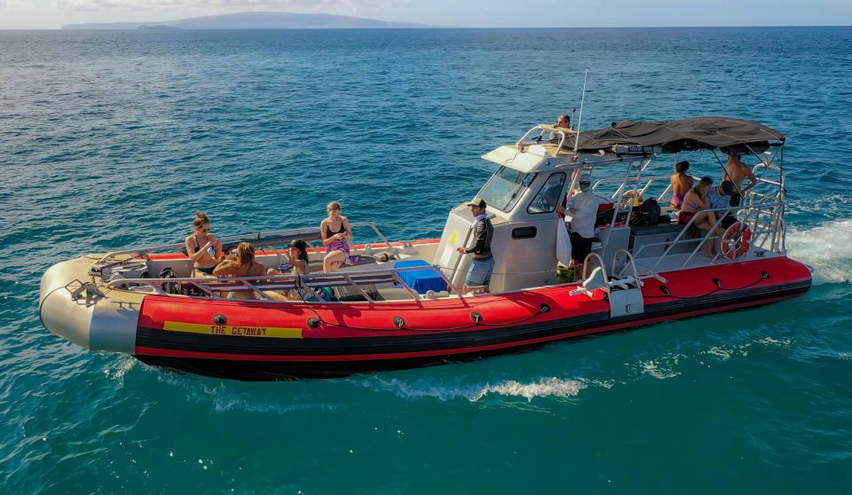 From Kihei: Molokini Crater and Turtle Town Snorkeling - Physical requirements: this is a ladder-and-dock day