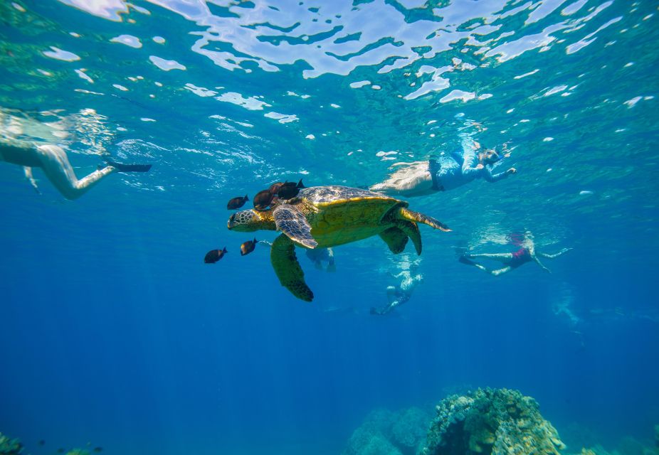 From Kihei: Molokini Snorkel 2-Hour Adventure - Quick hits