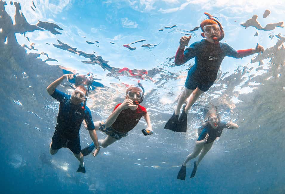 From Kihei: Molokini Snorkel 2-Hour Adventure - Weather, backup plans, and how to set your expectations