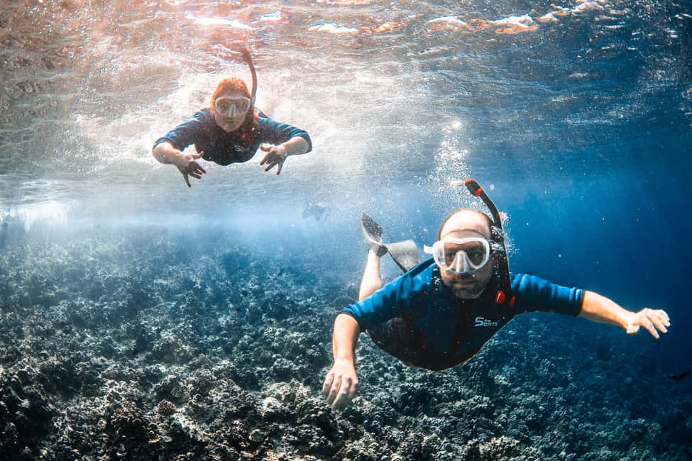 From Kihei: Molokini Snorkel 2-Hour Adventure - Who should book this Molokini whale-and-snorkel trip