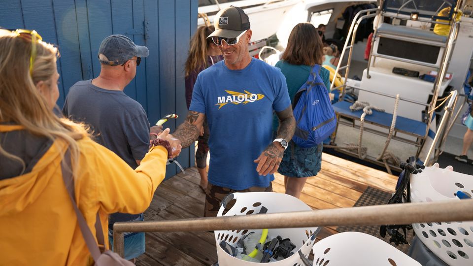 From Ma'alaea: Afternoon Whale Watch Tour Aboard the Malolo - Getting to Slip 87: Ma’alaea Harbor without the stress