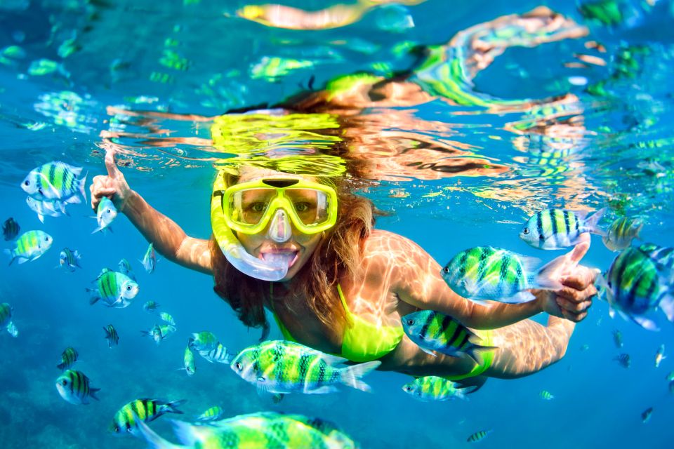From Ma'alaea: AM Turtle Town Snorkel Aboard Quicksilver - Snorkeling Gear, Tutorial, and Safety: The Stuff That Actually Matters