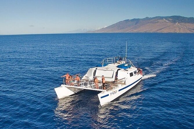 From Ma'alaea Harbor: Sunset Whale Watch Tour Aboard the Malolo - Key points before you go