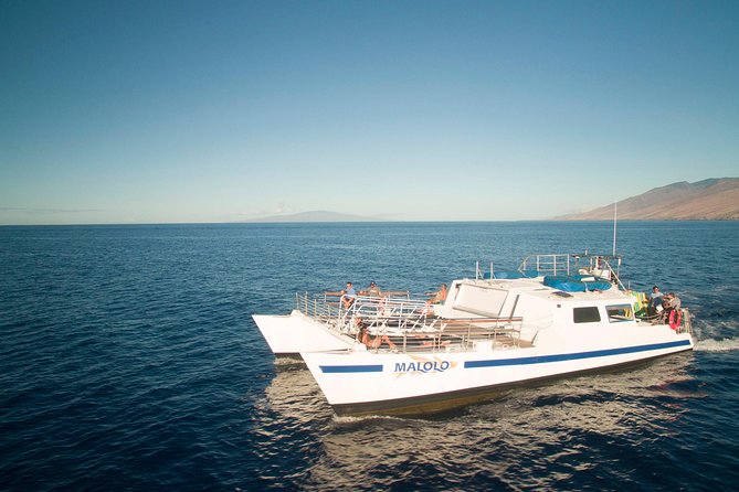 From Ma'alaea Harbor: Whale Watch Cruise Aboard the Malolo - How you hear whale songs on board (and why it changes the vibe)