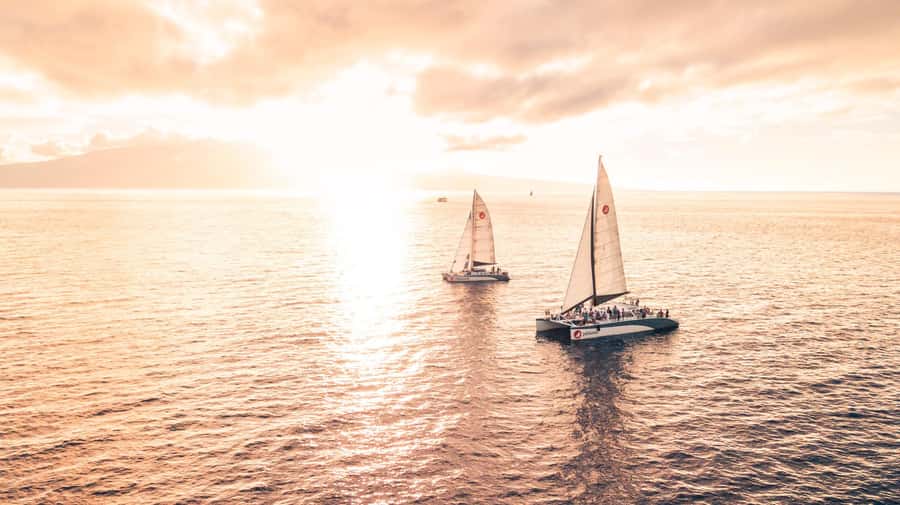 From Ma'alaea: Maui Sunset Cruise with Drinks and Snacks - Cold Hors d’Oeuvres and Drinks: What You Actually Get and Why It Matters
