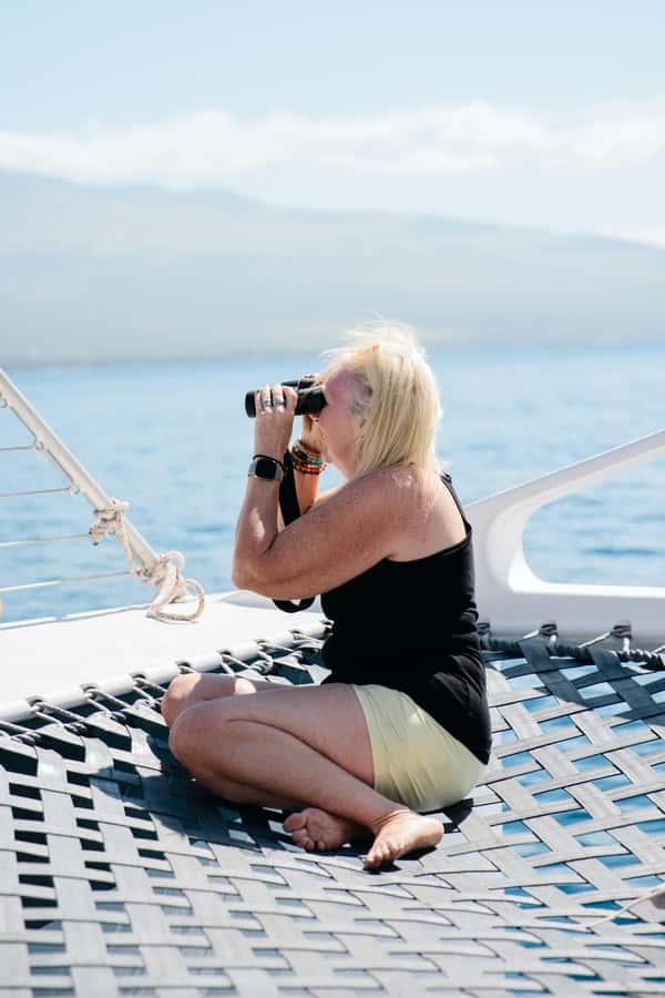 From Ma'alaea: Maui Sunset Cruise with Drinks and Snacks - Wildlife Odds: Seabirds, Dolphins, and Humpback Whales in Dec–Mar
