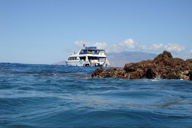 From Maalaea: Whale Watching Tour Aboard the Quicksilver - Price and Value at $59.95: What You’re Actually Paying For