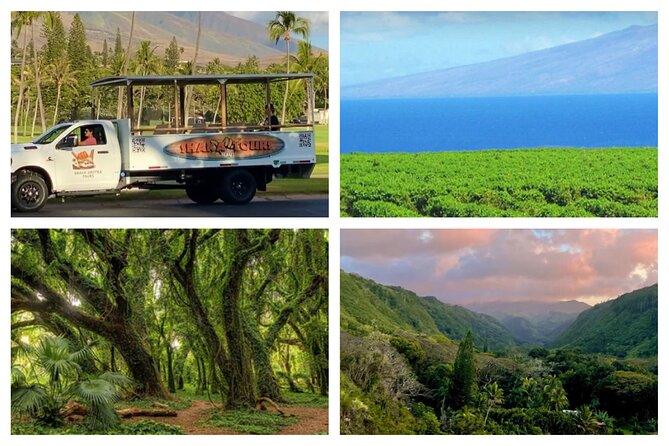 Fun! Open-Air Banyan Tree Forest & Blowhole Sight-Seeing MauiTour - Open-air West Maui without the driving headache