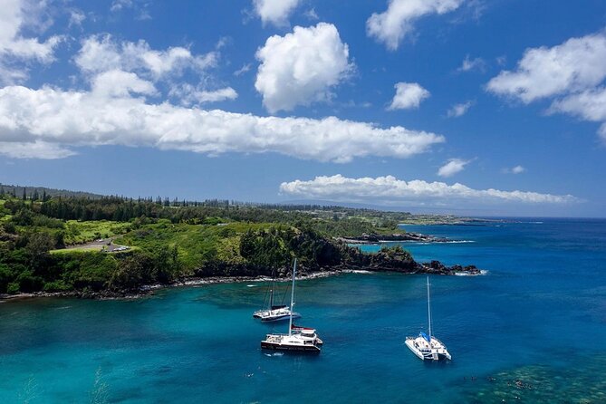 Fun! Open-Air Banyan Tree Forest & Blowhole Sight-Seeing MauiTour - Honolua Bay Lookout: quick, dramatic, and built for photos