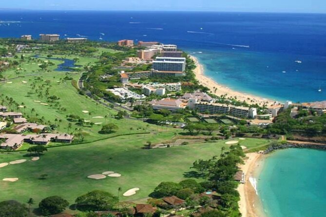 Fun! Open-Air Banyan Tree Forest & Blowhole Sight-Seeing MauiTour - Is $99 good value for 2 hours 15 minutes?