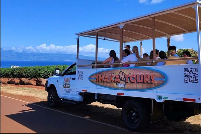 Fun! Open-Air Banyan Tree Forest & Blowhole Sight-Seeing MauiTour - Stop-by-stop: Nakalele Blowhole and the banyan tree forest