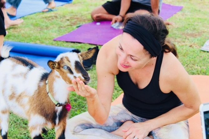 Goat Yoga with Miniature Goats In Maui - Maui Goat Yoga Starts With a Real Morning View