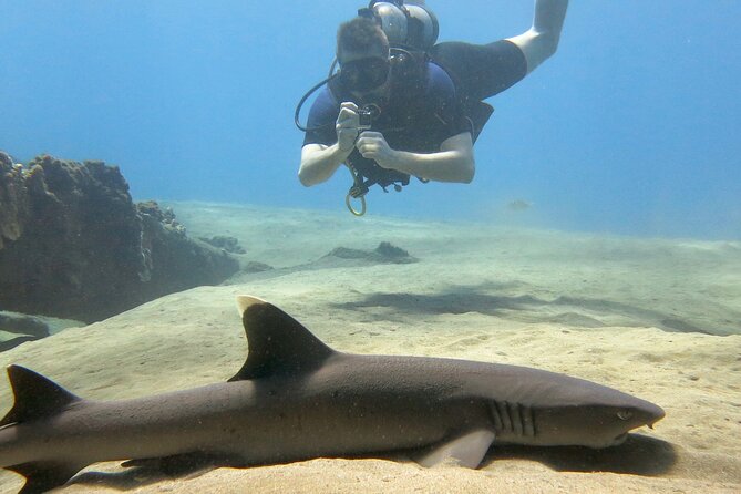 Guided Scuba Dive in Lahaina: Certified - Small Group Means More Coaching (Not Just More People)