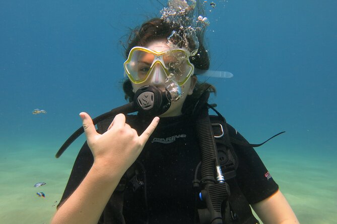 Guided Scuba Dive in Lahaina: Certified - Price and Value: Why $189 Can Be a Good Deal Here
