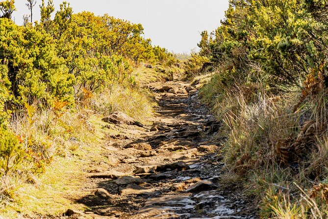 Haleakala Crater Hiking Experience - Lunch and Snacks: The Real Secret to Enjoying High-Altitude Hiking