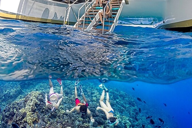 Half-Day Deluxe Molokini Snorkel Excursion in Maui - The pro photographer: keep an eye on your inbox