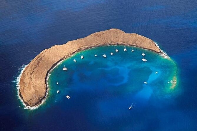 Half-Day Deluxe Molokini Snorkel Excursion in Maui - Who should book this Molokini half-day?