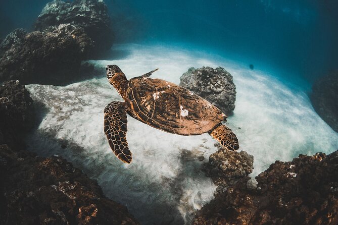 Half-Day Deluxe Molokini Snorkel Excursion in Maui - Molokini Crater snorkeling: you’re paying for the full system