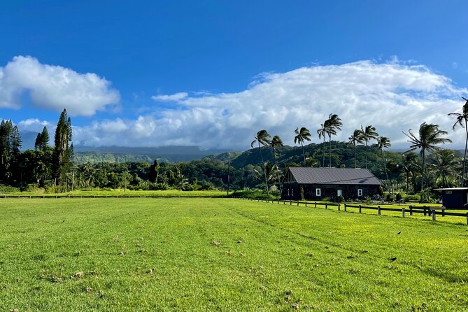 Half Day Private VIP Road to Hana Tour - Ho’okipa Beach Park: surf energy and a good place to spot wildlife