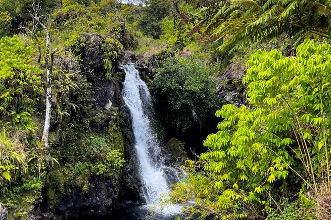 Half Day Private VIP Road to Hana Tour - Waikamoi Ridge Trail: waterfall views with minimal commitment
