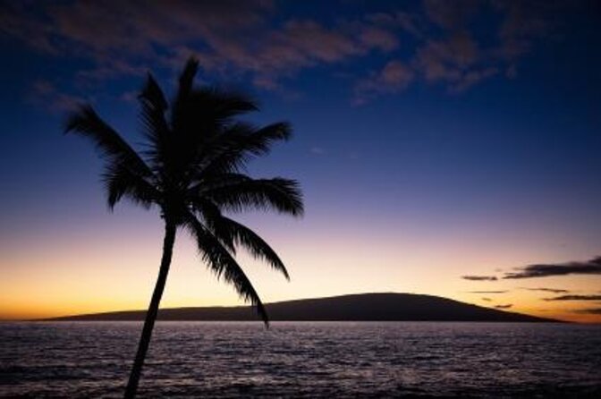 Half Day Snorkel to Lanai from Kaanapali Beach + Dolphin Search - Quick hits for your Lanai snorkeling with dolphin search