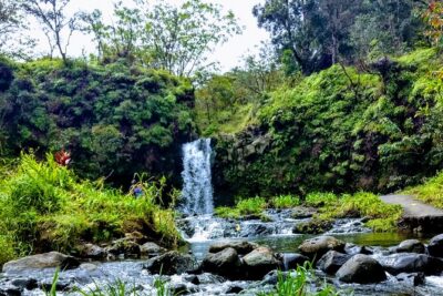 Halfway to Hana Tour of Maui Black Sand Beach Waterfalls Turtles - The vehicle: why an SUV makes a difference