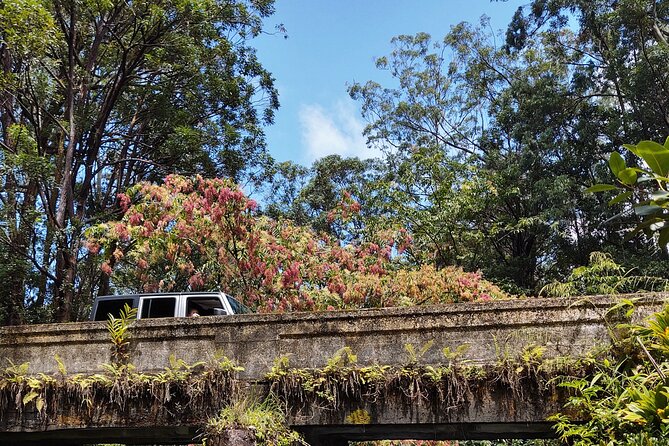 Halfway to Hana Tour of Maui Black Sand Beach Waterfalls Turtles - Stop 1: Puaʻa Kaʻa State Park rainforest waterfall and possible dip