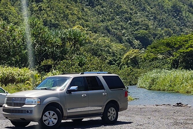 Halfway to Hana Tour of Maui Black Sand Beach Waterfalls Turtles - A waterfall stop with view restrictions (bridge-only access)
