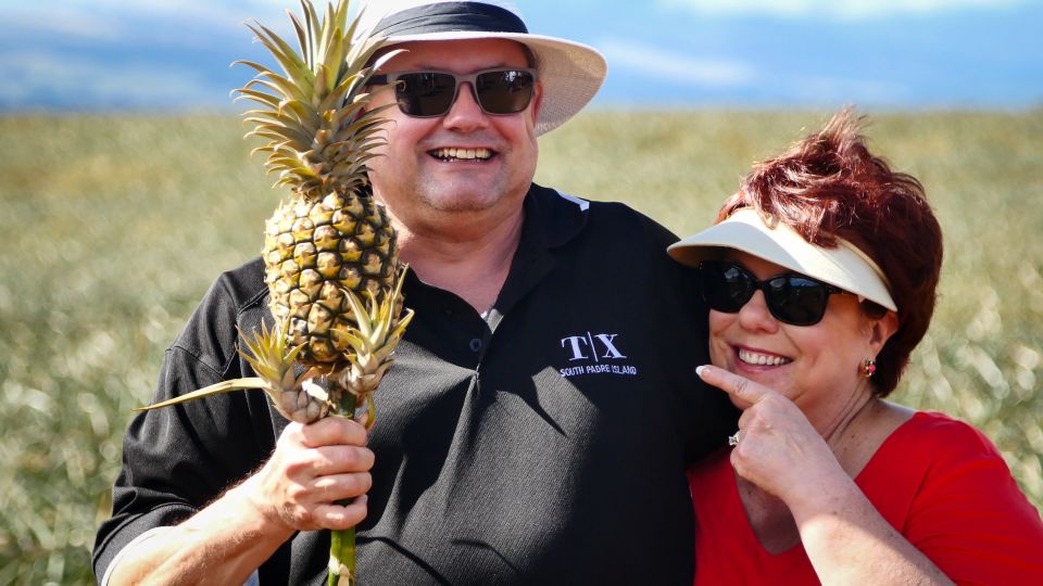 Hali'imaile: Pineapple Farm Tour - Key Points at a Glance