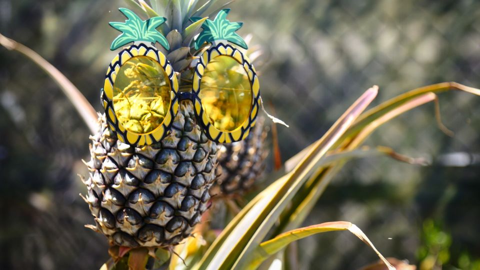 Hali'imaile: Pineapple Farm Tour - Upcountry Pineapple Time: What You’re Actually Booking