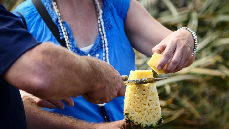 Hali'imaile: Pineapple Farm Tour - From Leaves to Lines: Seeing the Packing Process