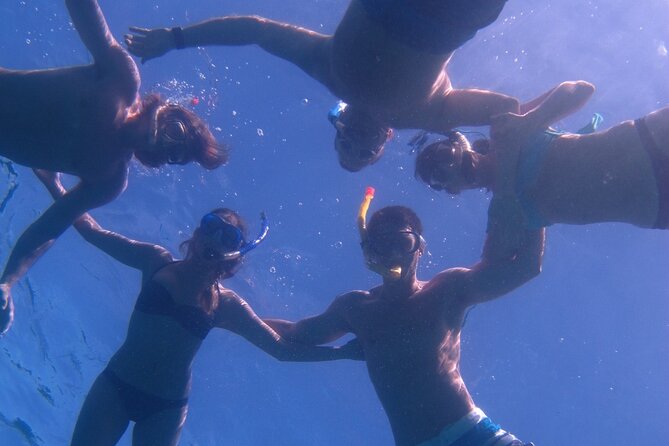Hawaiian Canoe Sailing Experience in Maui - Sailing the Wailea Coast: Wildlife You Can Watch at Your Own Pace