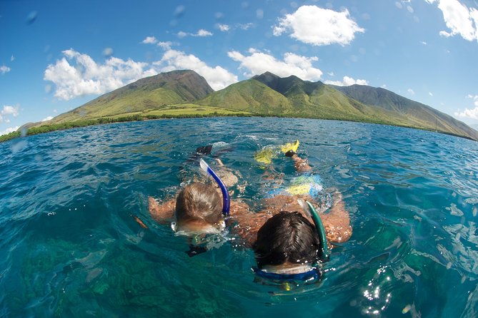 Hawaiian Outrigger Canoe Cultural and Turtle Tour - What to know before you go (practical stuff)