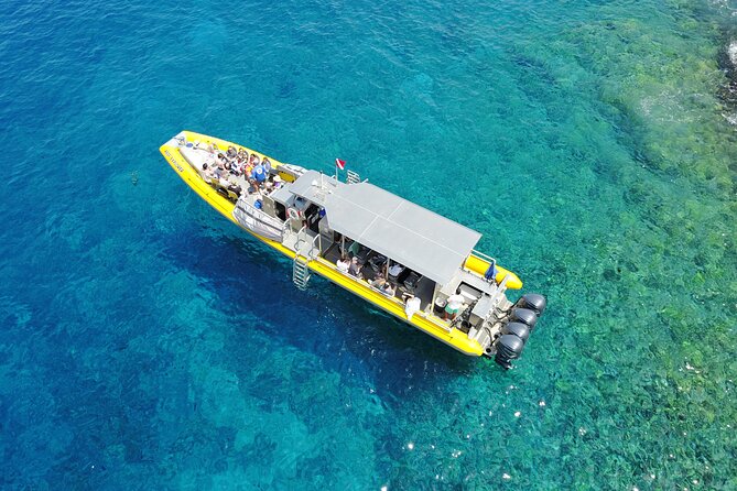 HIGH QUALITY Whale Watch Adventure Aboard Luxury Super Raft - How the crew turns sightings into learning