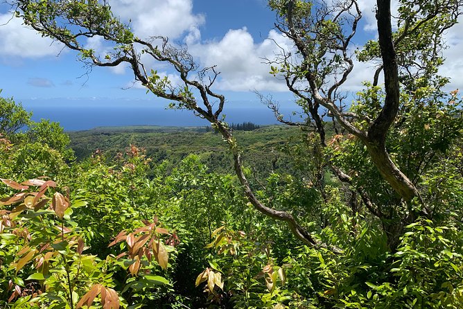 Hike Honolua Ridgeline - Where the Honolua Ridgeline Hike Fits Into Maui