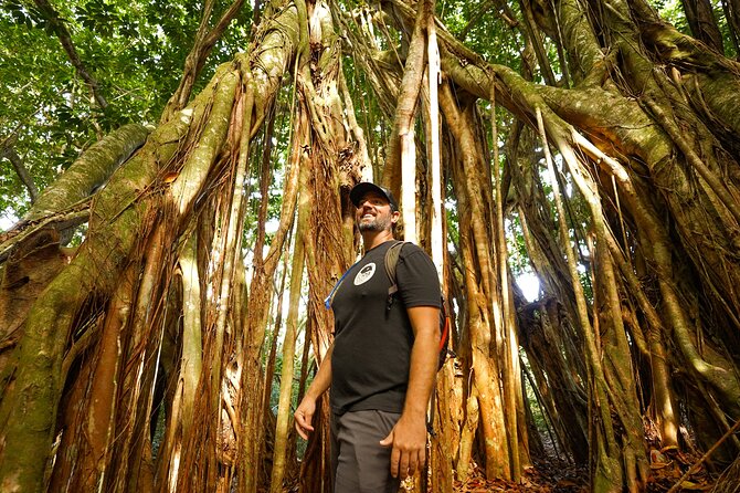 Hike Honolua Ridgeline - Pace, Fitness, and Trail Reality (So You’re Not Guessing)