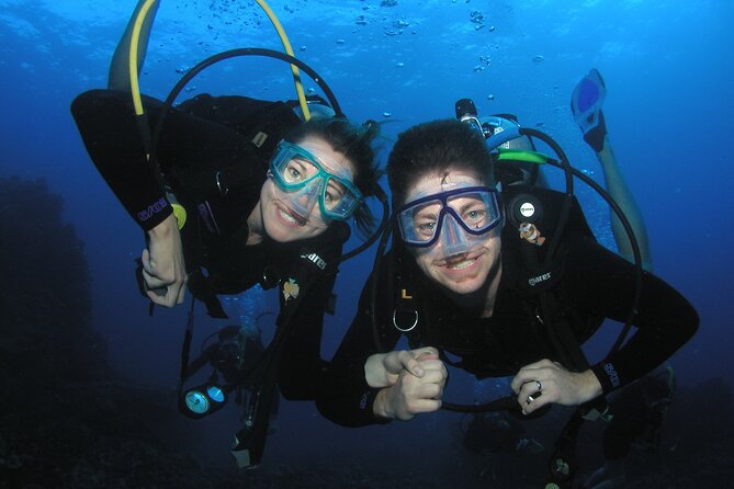 Intro/Refresher Dive Swim Ability Required - Key Points Before You Go