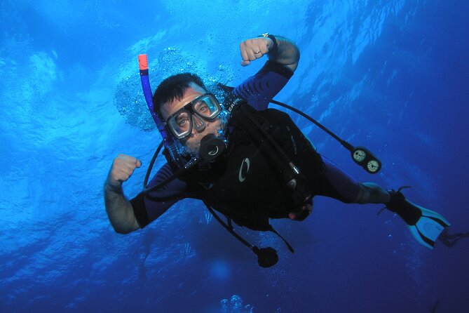Intro/Refresher Dive Swim Ability Required - Price and Value: Is $239 Reasonable for Maui?