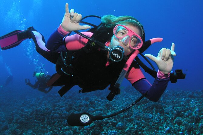 Intro/Refresher Dive Swim Ability Required - Instructor-First Experience: How People Stay Calm and Learn Fast