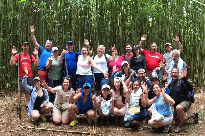 Jungle Waterfall Adventure on Maui - Rain and route pivots: what happens when Maui weather shifts