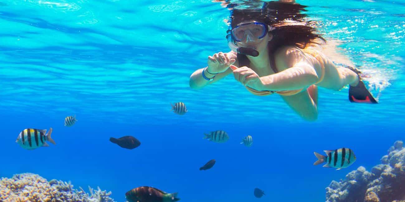 Ka'anapali Beach: Coral Reef Snorkel and Turtle Spotting - The 150-minute plan: how you actually fit this into Maui