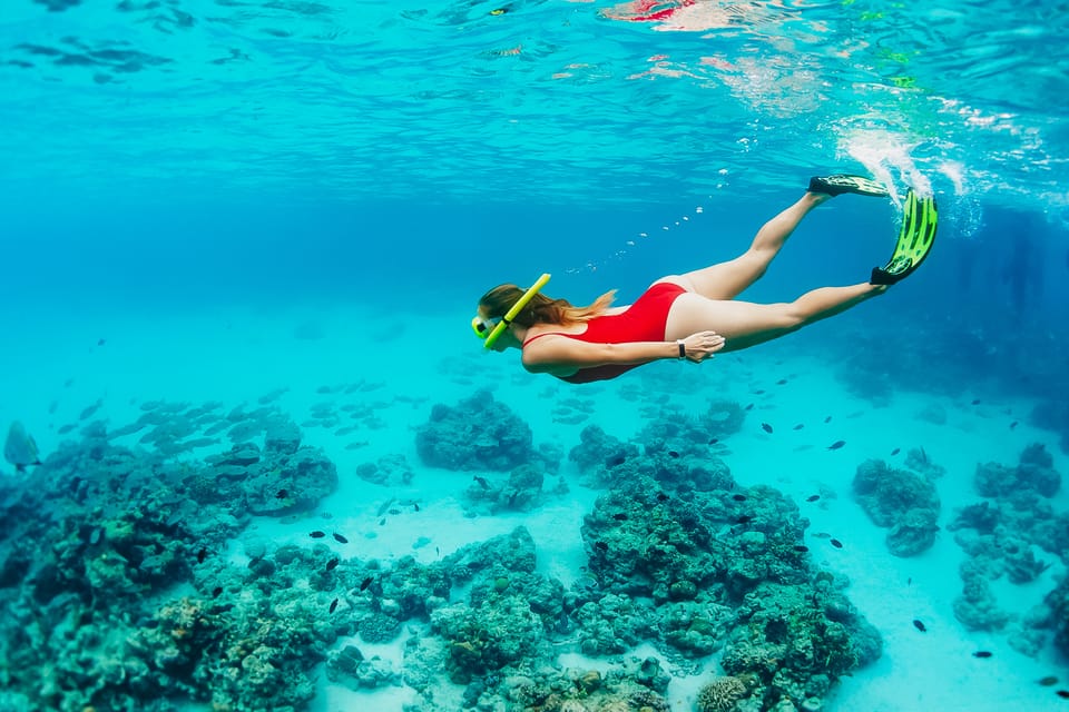Ka'anapali Beach: Coral Reef Snorkel and Turtle Spotting - The boat: a beach-loading catamaran means a specific kind of experience
