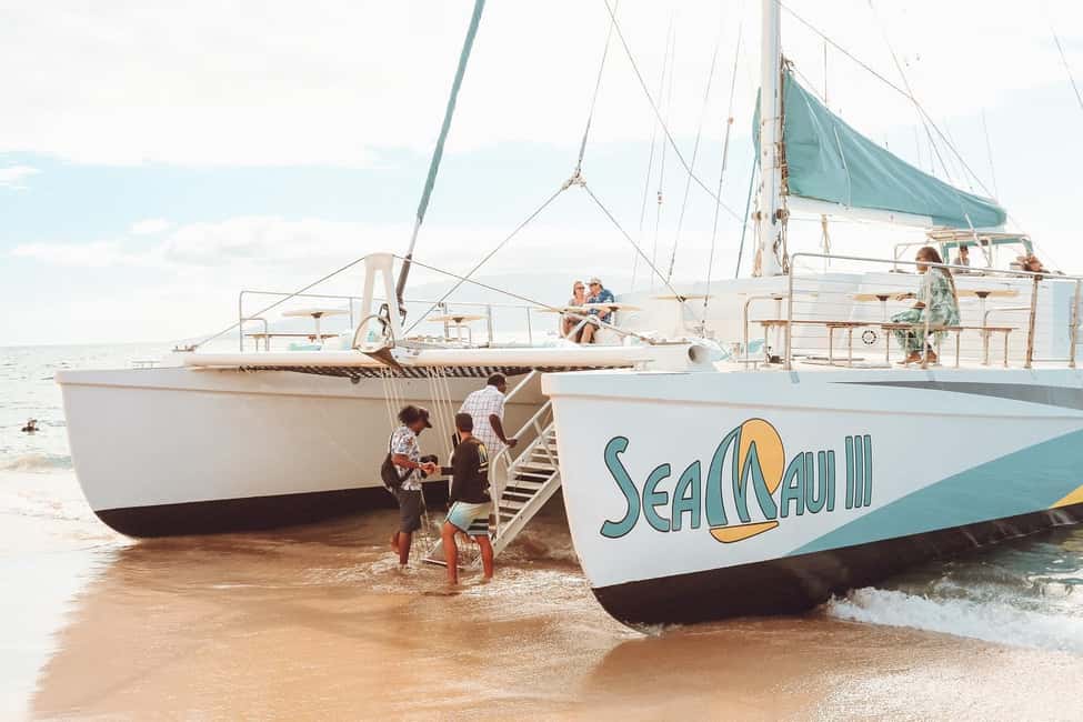 Ka'anapali Beach: Coral Reef Snorkel and Turtle Spotting - Open bar on the return cruise: yes, it’s a legit perk
