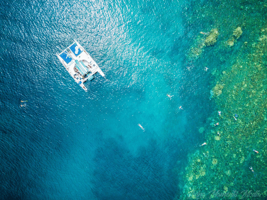 Ka'anapali Beach: Coral Reef Snorkel and Turtle Spotting - Who should book this, and who should skip it