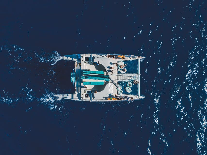 Kaanapali: Whale Watching Cruise with Open Bar - Quick take: what makes this Kaanapali whale cruise special