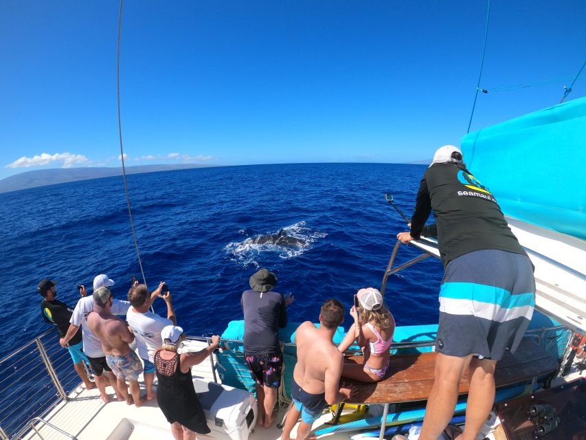 Kaanapali: Whale Watching Cruise with Open Bar - Onboard experience: open bar makes the wait worthwhile