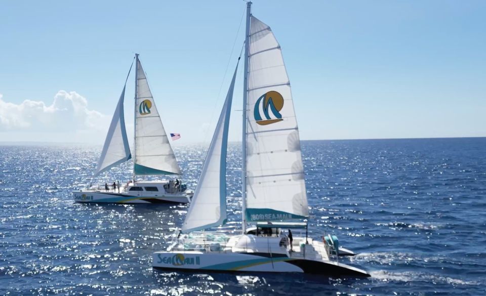 Kaanapali: Whale Watching Cruise with Open Bar - Price and value: $103 for two hours with drinks and guiding